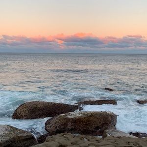 Meet your Posher, Angelina